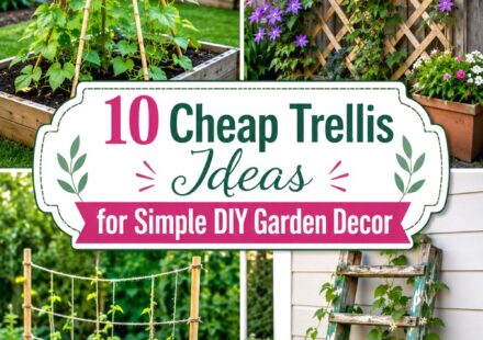 Cheap Trellis Ideas for Simple DIY Garden Decor