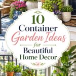 Container Garden Ideas for Beautiful Home Decor