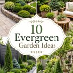 Evergreen Garden Ideas