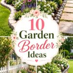 Garden Border Ideas