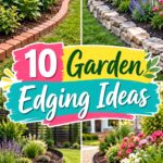 Garden Edging Ideas