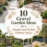 Gravel Garden Ideas for a Simple and Stylish Outdoor Space