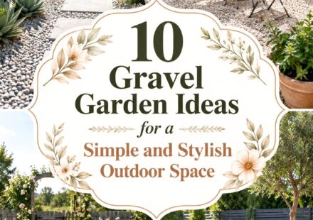 Gravel Garden Ideas for a Simple and Stylish Outdoor Space