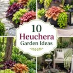 Heuchera Garden Ideas