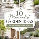 Minimalist Garden Ideas for a Calm Outdoor Space