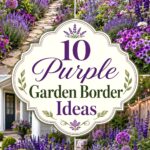Purple Garden Border Ideas