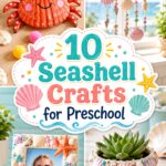 Seashell Crafts for Preschool