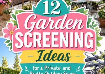Garden Screening Ideas for a Private and Pretty Outdoor Space