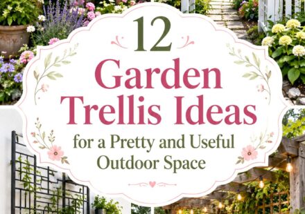 Garden Trellis Ideas for a Pretty and Useful Outdoor Space