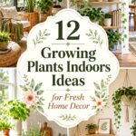 Growing Plants Indoors Ideas for Fresh Home Decor
