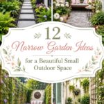 Narrow Garden Ideas for a Beautiful Small Outdoor Space
