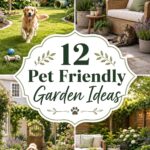 Pet Friendly Garden Ideas
