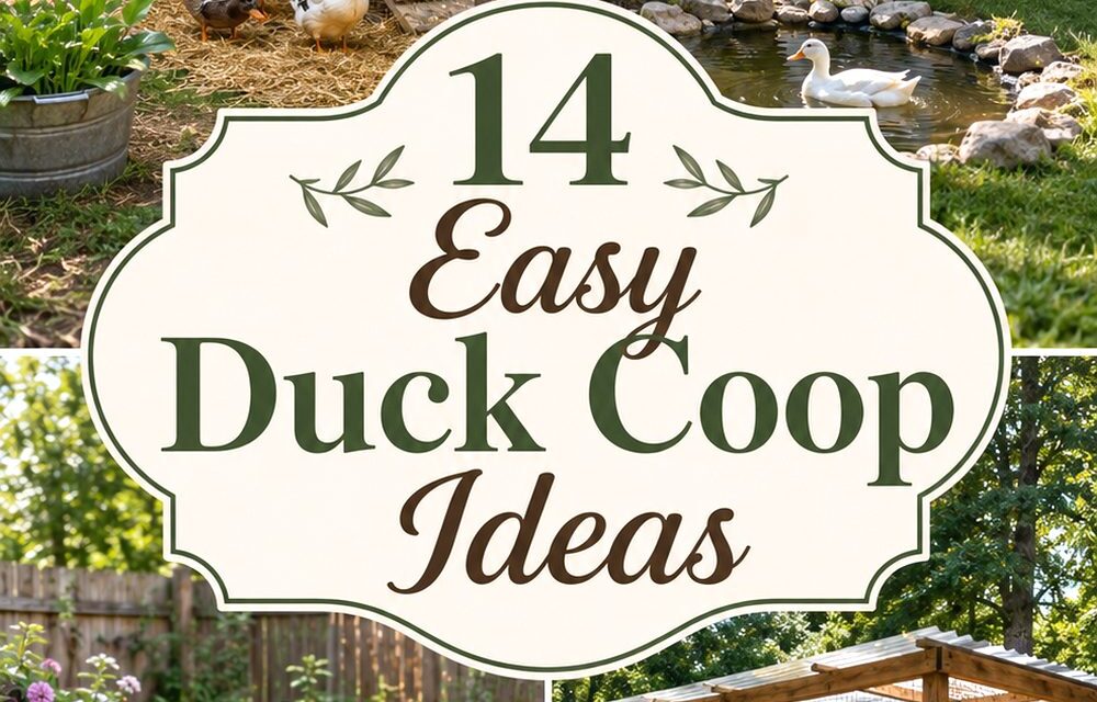 Easy Duck Coop Ideas