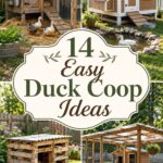 Easy Duck Coop Ideas