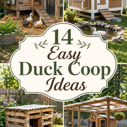Easy Duck Coop Ideas
