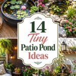 Tiny Patio Pond Ideas