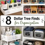 Dollar Tree Finds for Organization