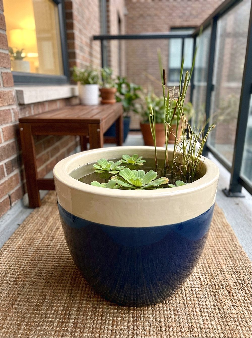 Balcony Pot Micro Pond