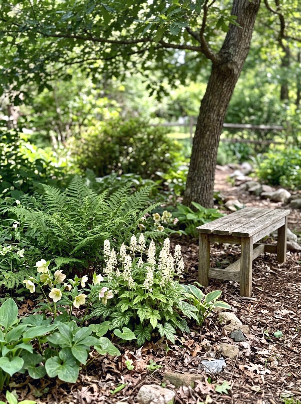 Native Shade Garden