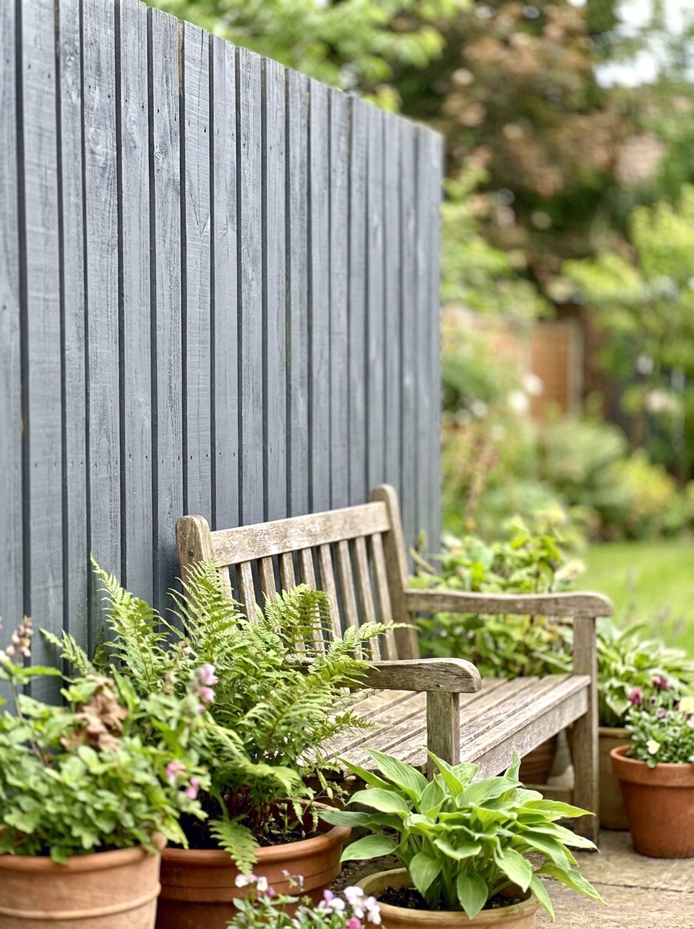 Painted Fence Accent