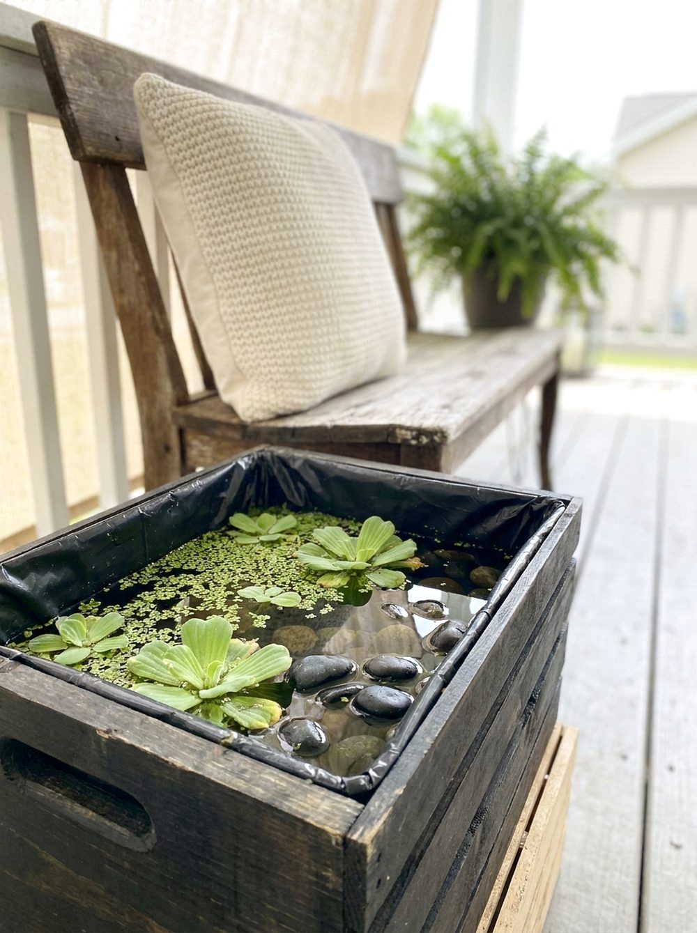 Wooden Crate Micro Pond