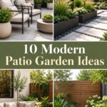 Modern Patio Garden Ideas