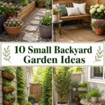 Small Backyard Garden Ideas