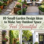 Small Garden Design Ideas to Make Any Outdoor Space Feel Beautiful