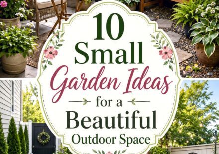 Small Garden Ideas for a Beautiful Outdoor Space