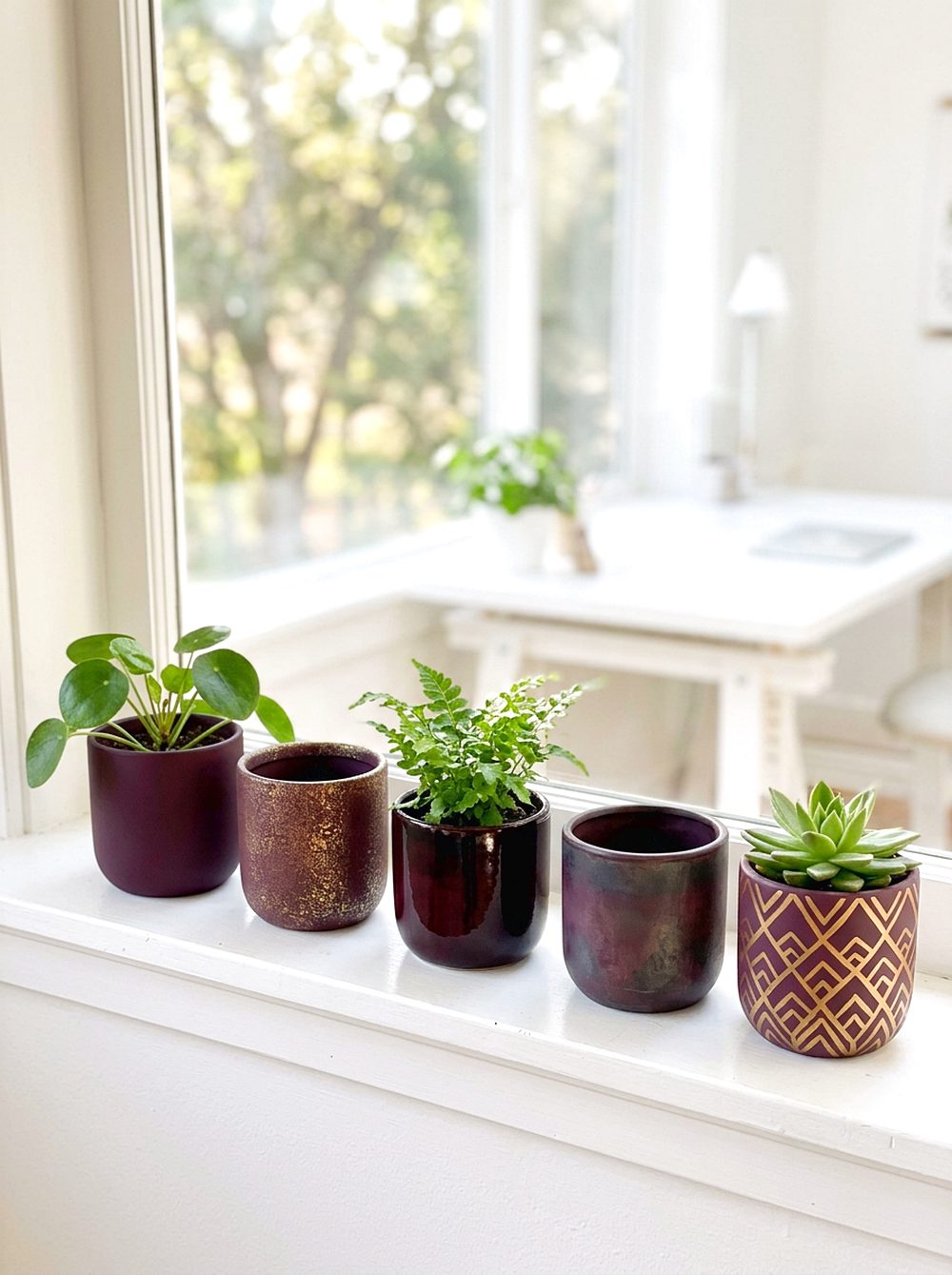 Plum Noir Planter Set