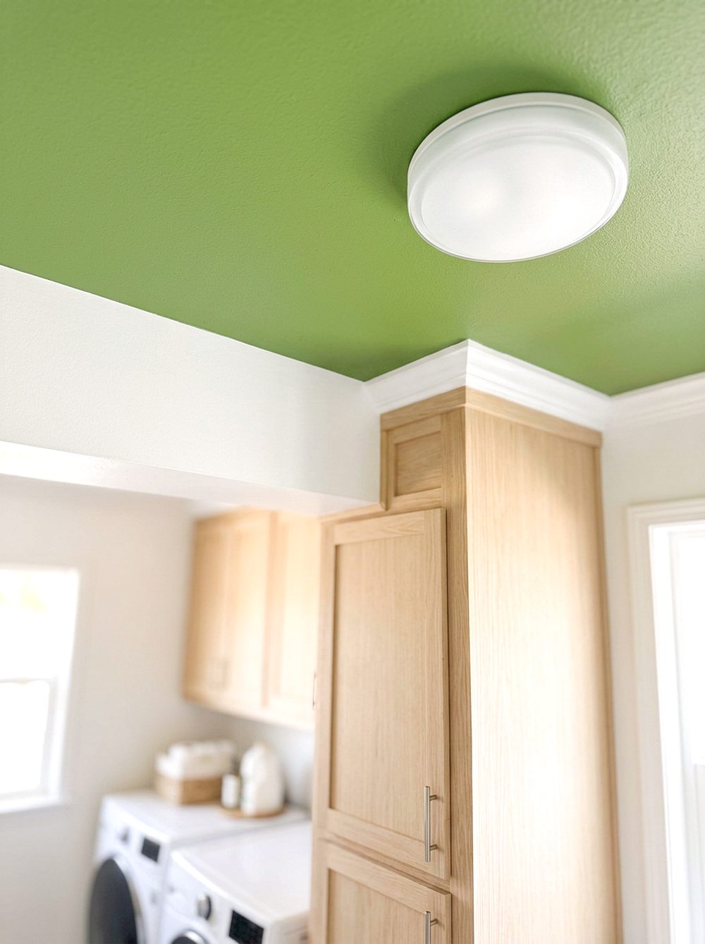 Wasabi Green Ceiling